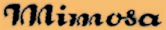 Mimosa - Pas de site web